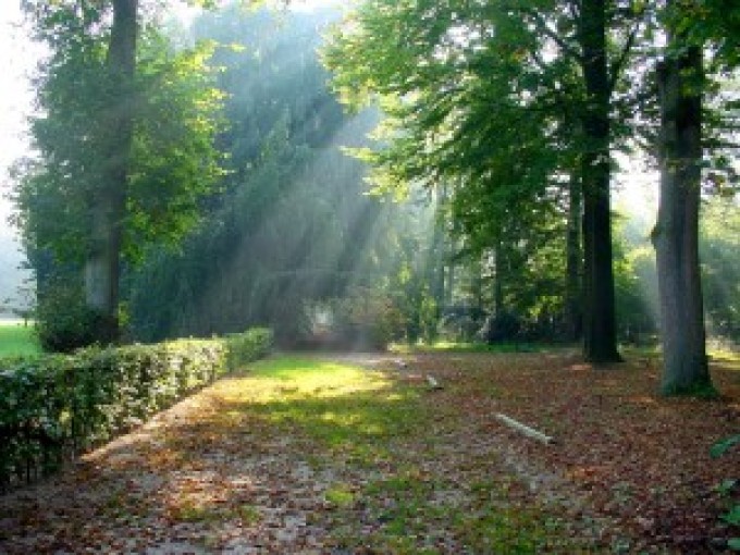 Wetenschap buiten de paden